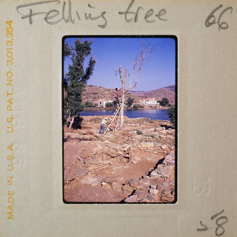 A person standing near a tree on rocky terrain with water and mountains in the background.