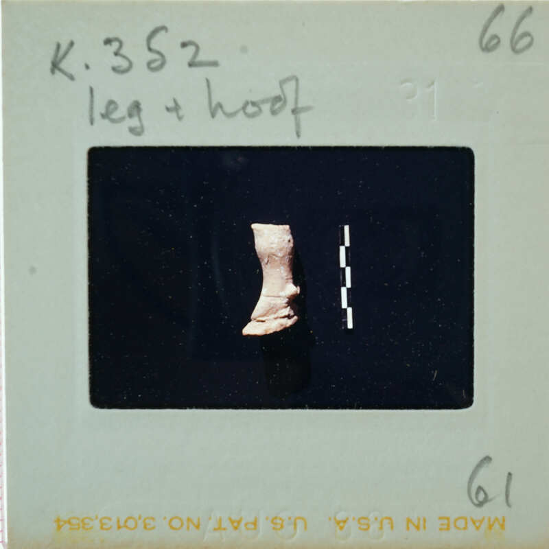 A  photograph of a leg and hoof terracotta figurine with labels on it, placed against a dark background.