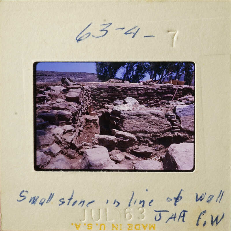 Stone ruins with vegetation on hillside.