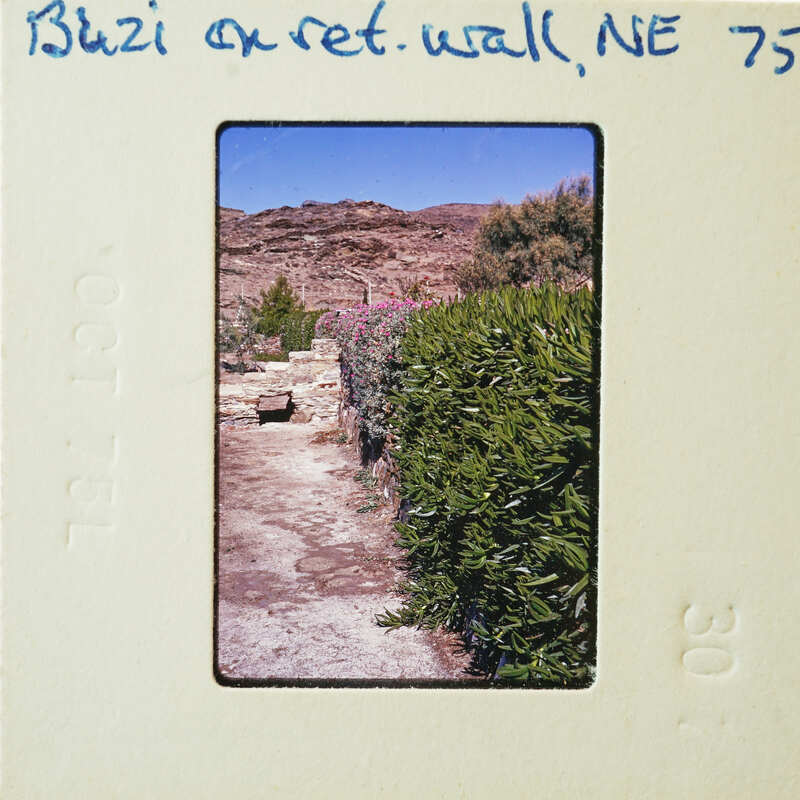 A photograph of a stone path leading to a mountainous landscape with greenery on either side.