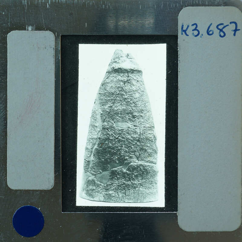 A black and white image of a large, pointed rock or mineral specimen on a label.