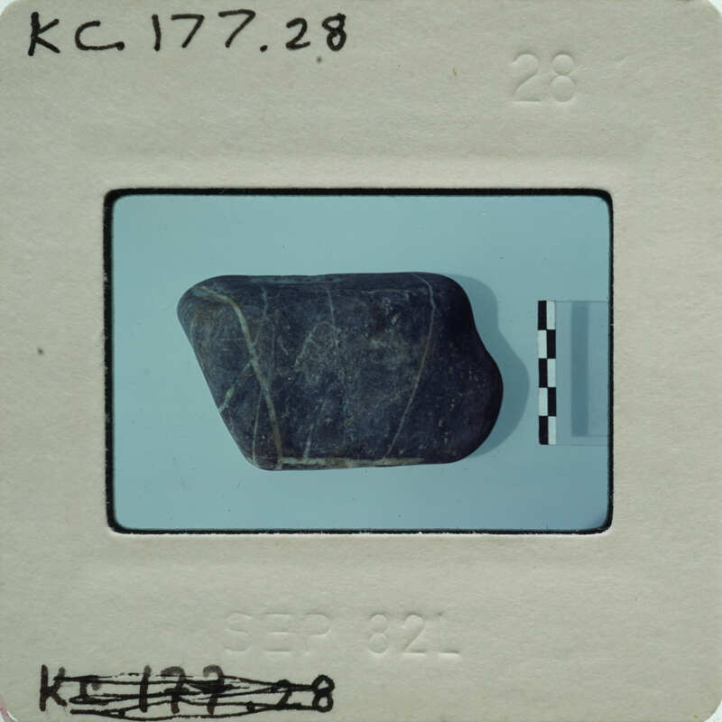 A small, dark rock with a rough surface on a light background.