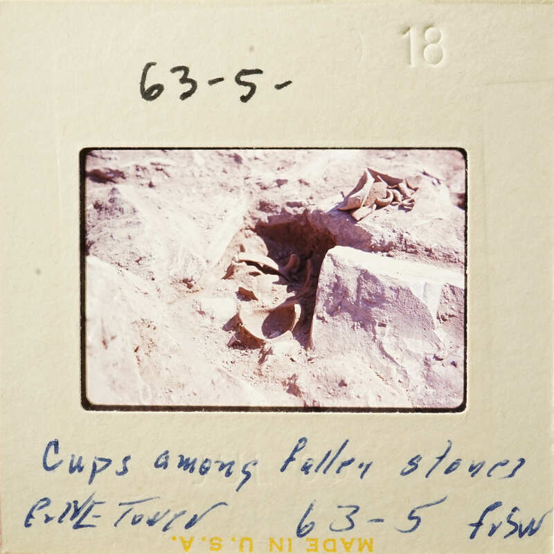 Archaeological site with stone ruins and ancient pottery fragments.