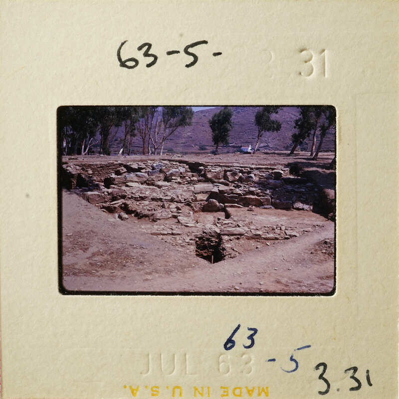 Ancient ruins with stone structures and vegetation, photographed on film.