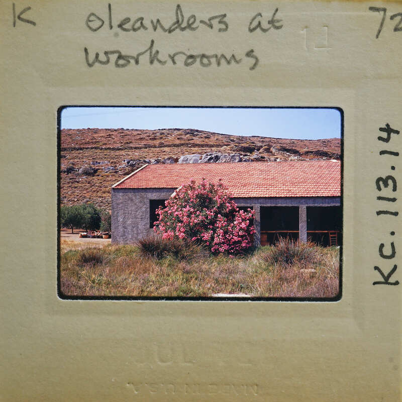 Photo of a building with pink flowers, labeled "OLDEST AT WORKSHOP" and dated 1973.