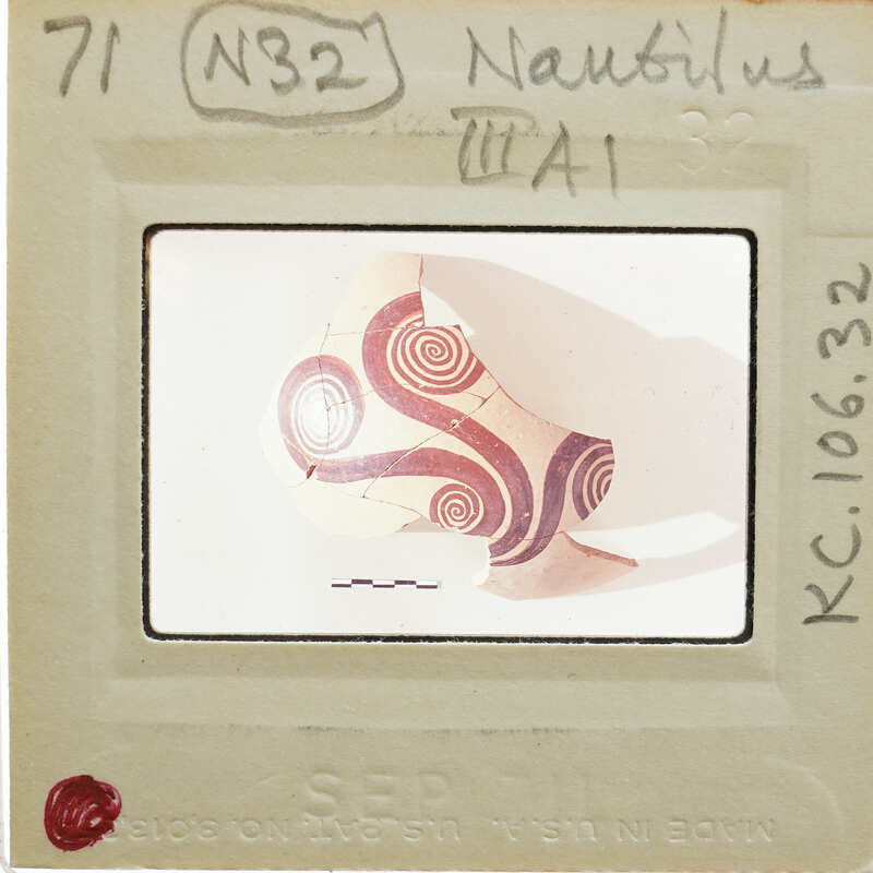 Partially reassembled pottery fragment showing nautilus design