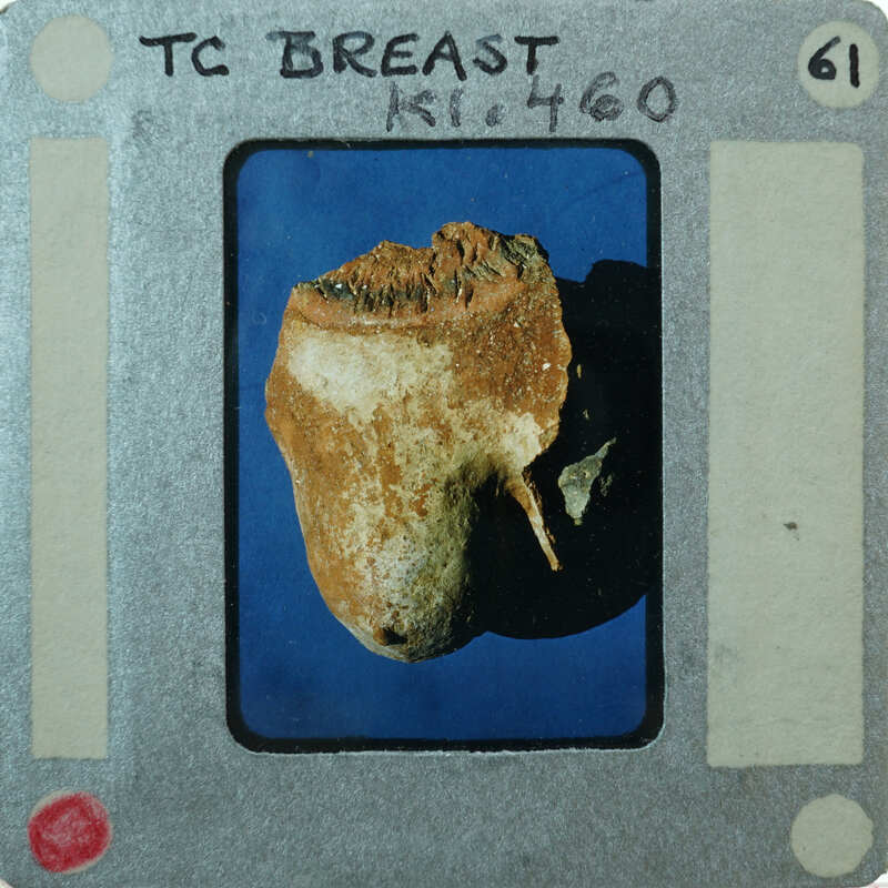 Detail of terracotta figurine breast fragment.