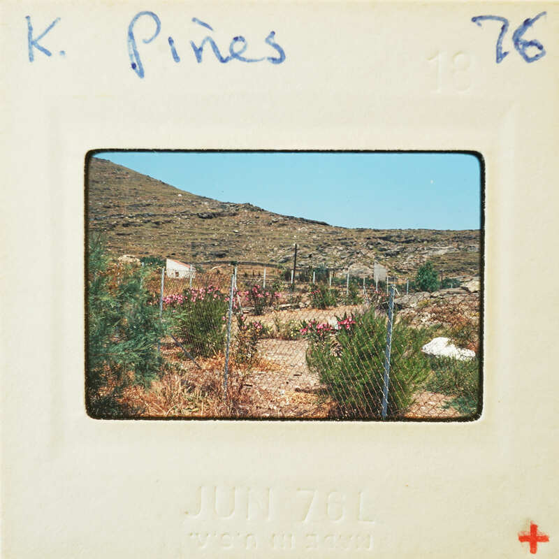 A vintage photograph of a rocky hillside with sparse vegetation, enclosed by a fence.