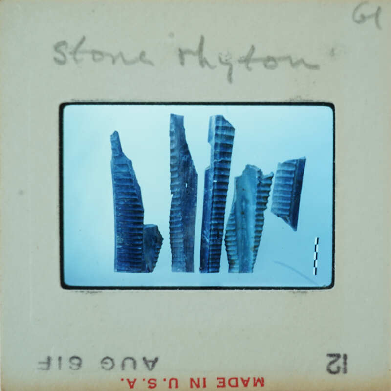 The image shows a collection of dark, jagged rocks or fossil fragments displayed on a light background within an old-fashioned photograph frame.