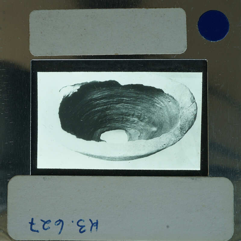 A black and white image of a bowl on film.