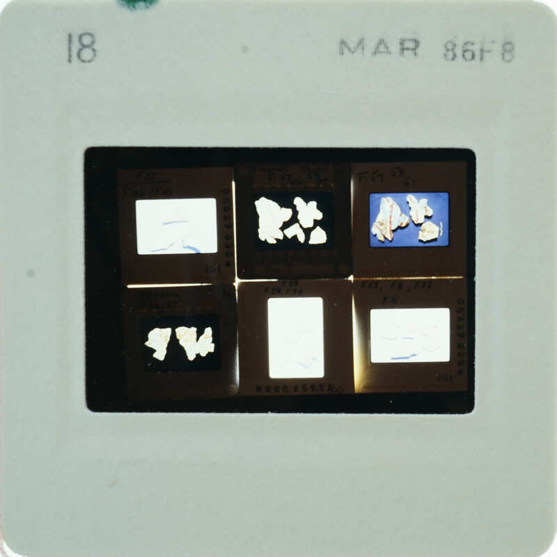 A close-up image of a film strip with multiple exposures, showing various images 