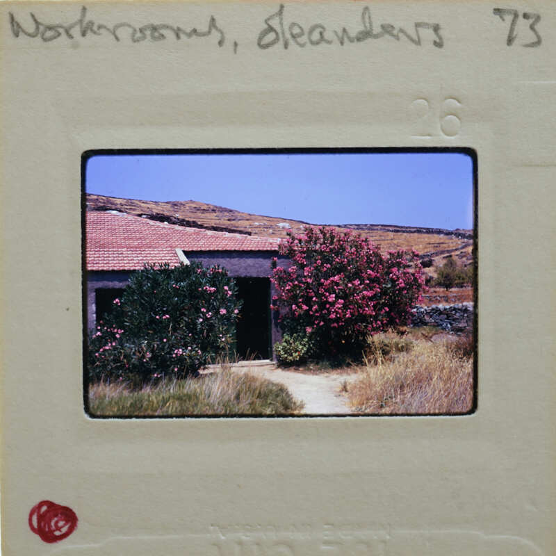 A slide of a house with pink flowers and a mountain backdrop.