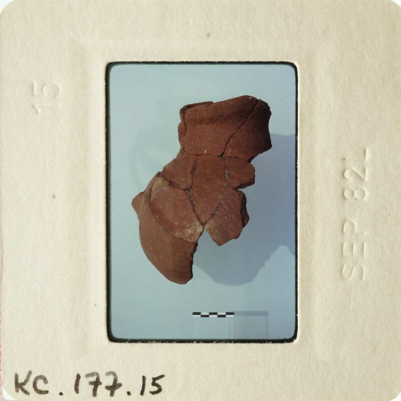 A small, brown, fragmented object on display.