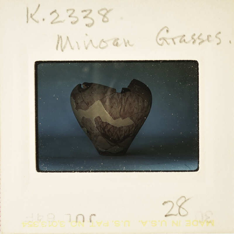 A heart-shaped object with a rough texture, possibly a seed or nut, on a white surface.