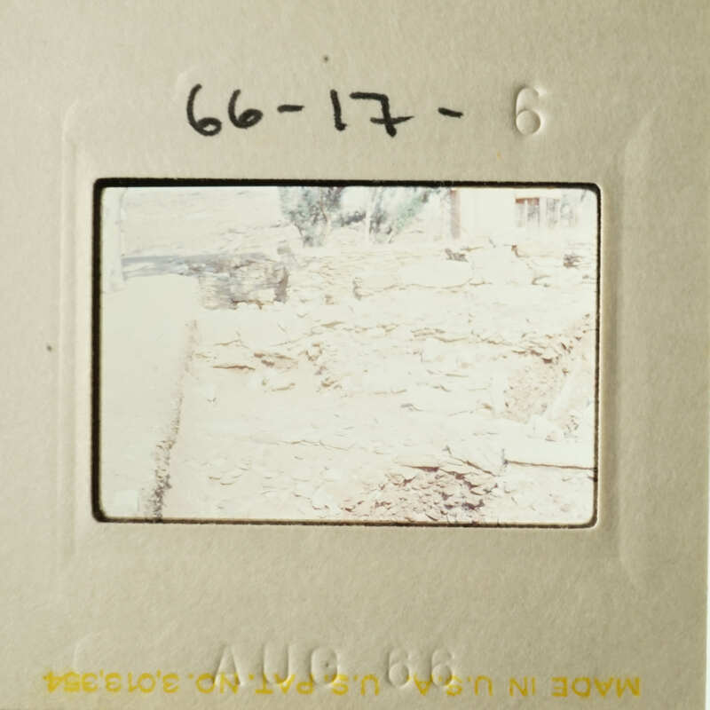 The photograph depicts a scene with a dog, possibly taken during a vacation.