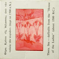 Pink and white illustration with palm tree-like designs, possibly from an antique book or card.
