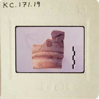 A photograph of an artifact, possibly a pottery shard with markings, on a white background.