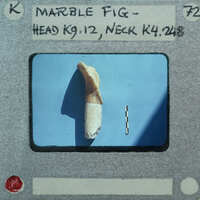 Broken head and neck of marble figurine.