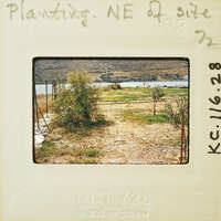 A vintage photograph of a rural landscape with a dirt road and sparse vegetation, possibly taken in the early to mid-20th century.