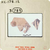 Old ceramic shards with markings on them, photographed and labeled.