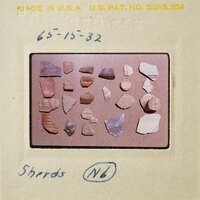 A collection of small, fragmented objects on a surface.