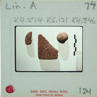 A photograph of three fragments, possibly pottery or stone pieces, with a label and measurements on the back.
