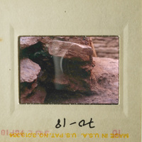 A photograph showing an ancient stone wall with moss and lichen growth.