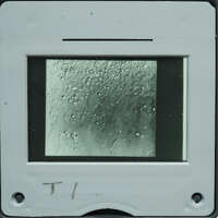 Microscopic detail of stone surface with small circles.