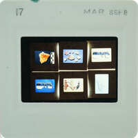 A small, square film strip with multiple images on it.
