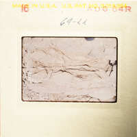 Ancient artifact with markings on display.