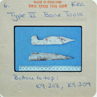 Two bone tools with a label and measurements on a card.