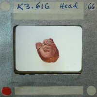 Terracotta figurine face fragment from front showing chin and lips K3.616.