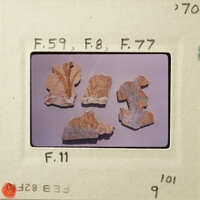 Old pottery shards on display.