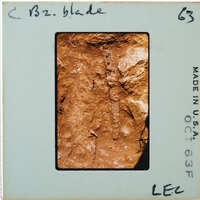 This is an image of a film strip with a photograph showing what appears to be an ancient artifact, possibly a bone or piece of rock with markings on it.