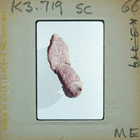 A photograph of a rock with an unusual shape, resembling a human body part, set against a white background.