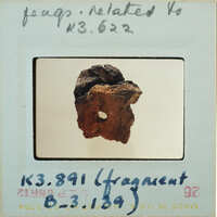 Terracotta fragment.