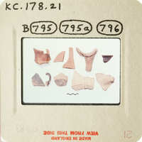 Collection of ancient pottery shards on display.