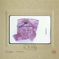 A photograph of an ancient artifact, possibly pottery, with visible cracks and fragments.