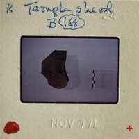 A small, brown object on a light surface with markings and labels around it.