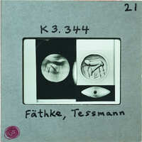 Photo of book plate with seal stones and drawings of seal stones K3.334.