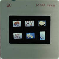 A slide of multiple slides of painted wall plaster fragments