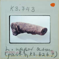 Fragment of terracotta arm,