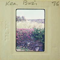 A vintage photo of a garden with pink flowers and a stone wall, labeled "Keith Busi 1976".