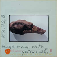 Fragment of terracotta arm on white background.