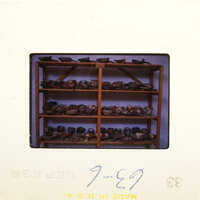 Shelves filled with various objects, possibly rocks or fossils, displayed in an indoor setting.