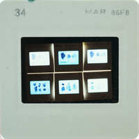 A slide of multiple slides of painted wall plaster fragments.