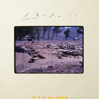 Ancient ruins with stone walls and foundations, set against a backdrop of trees and hills.