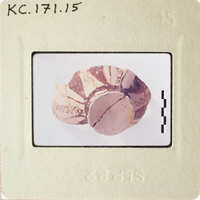 Ancient pottery with patterns on display.