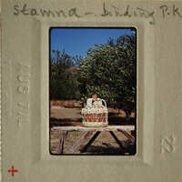 A photograph of an outdoor scene with trees and a wicker basket, possibly from a vintage collection.