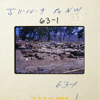 Ancient ruins with stone structures and vegetation in the background.